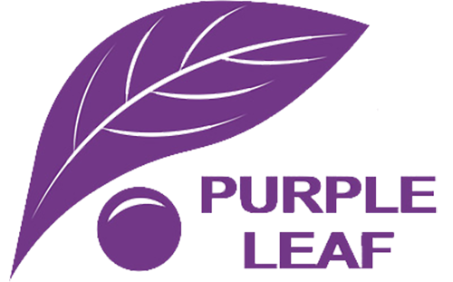 Purple Leaf